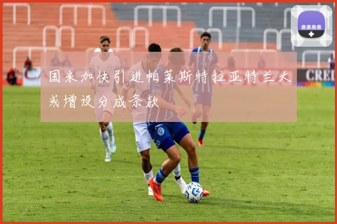 国米加快引进帕莱斯特拉亚特兰大或增设分成条款
