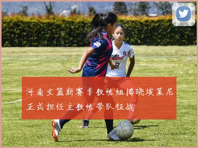 河南女篮新赛季教练组揭晓埃莱尼正式担任主教练带队征战