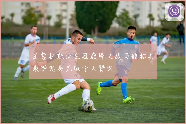 王哲林职业生涯巅峰之战马健称其表现完美无瑕令人赞叹